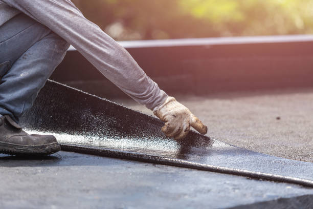 Professional Basement Waterproofing technician working in Five Points, TN
